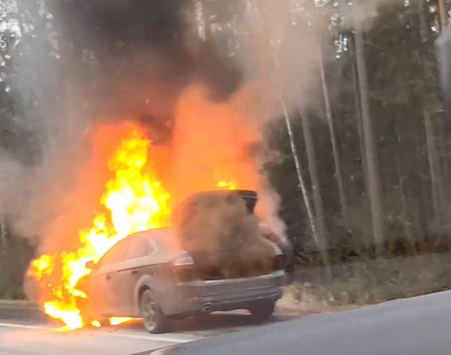 Кадр из видео в vk.com/spb_today